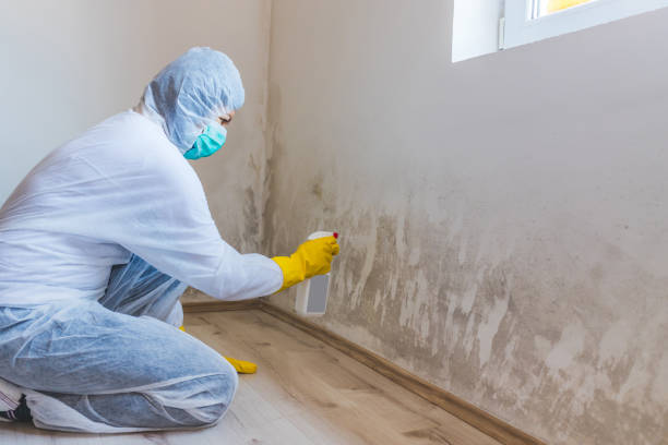 Licensed Mold Remediation service in Huntington, VA - Mold Remediation HQ